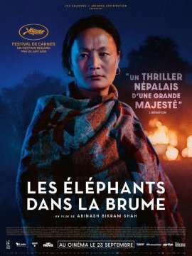 affiche du film Les éléphants dans la brume