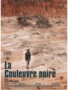 affiche du film La couleuvre noire