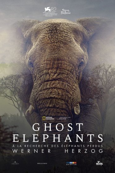Affiche du film Ghost elephants