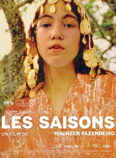 Affiche du film Les saisons