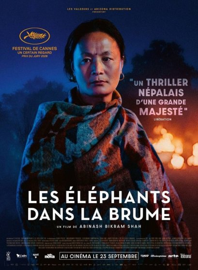 Affiche du film Les éléphants dans la brume